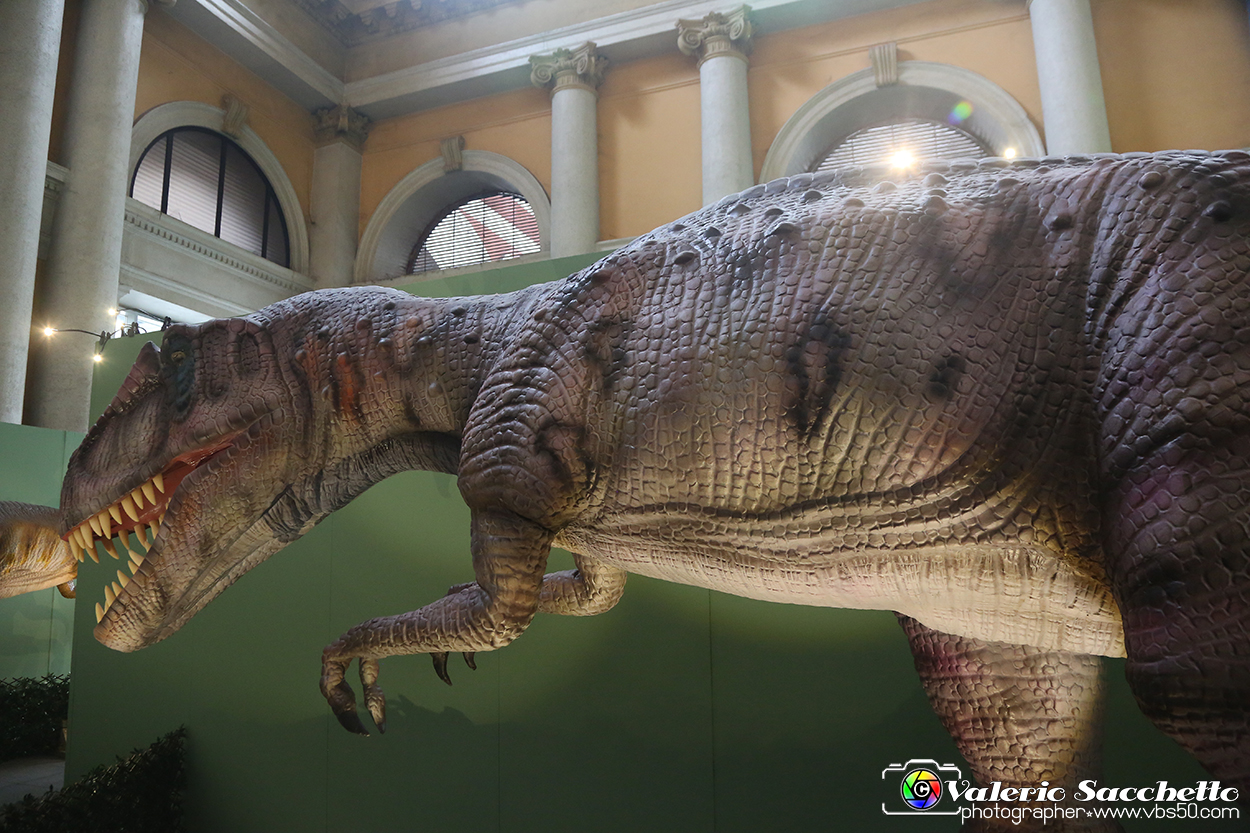 VBS_0961 - Dinosauri. Terra dei giganti.jpg